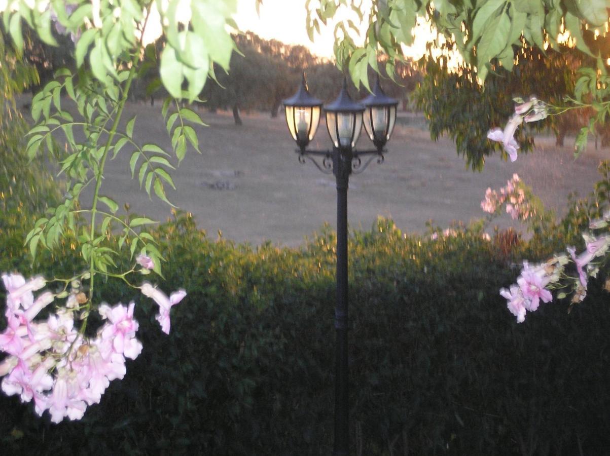 Casa Rural "El Carrasca" El Carrascalejo ภายนอก รูปภาพ
