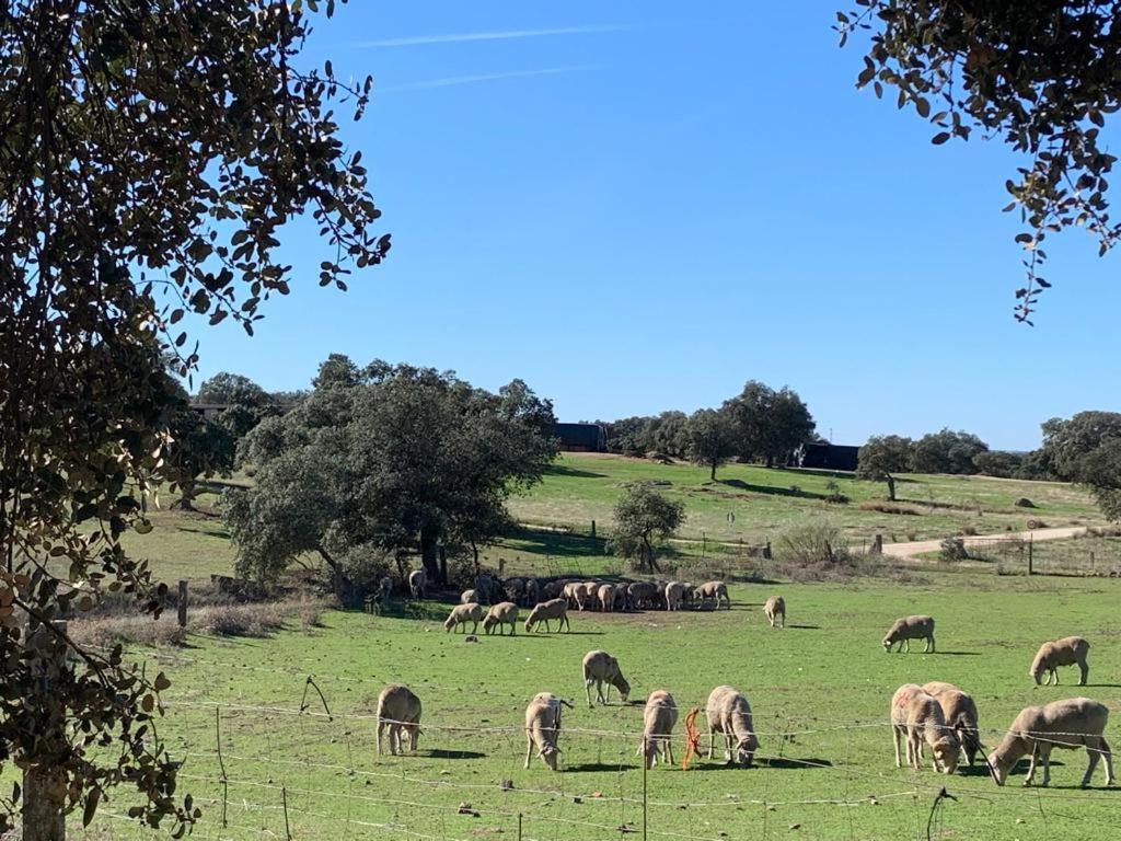 Casa Rural "El Carrasca" El Carrascalejo ภายนอก รูปภาพ